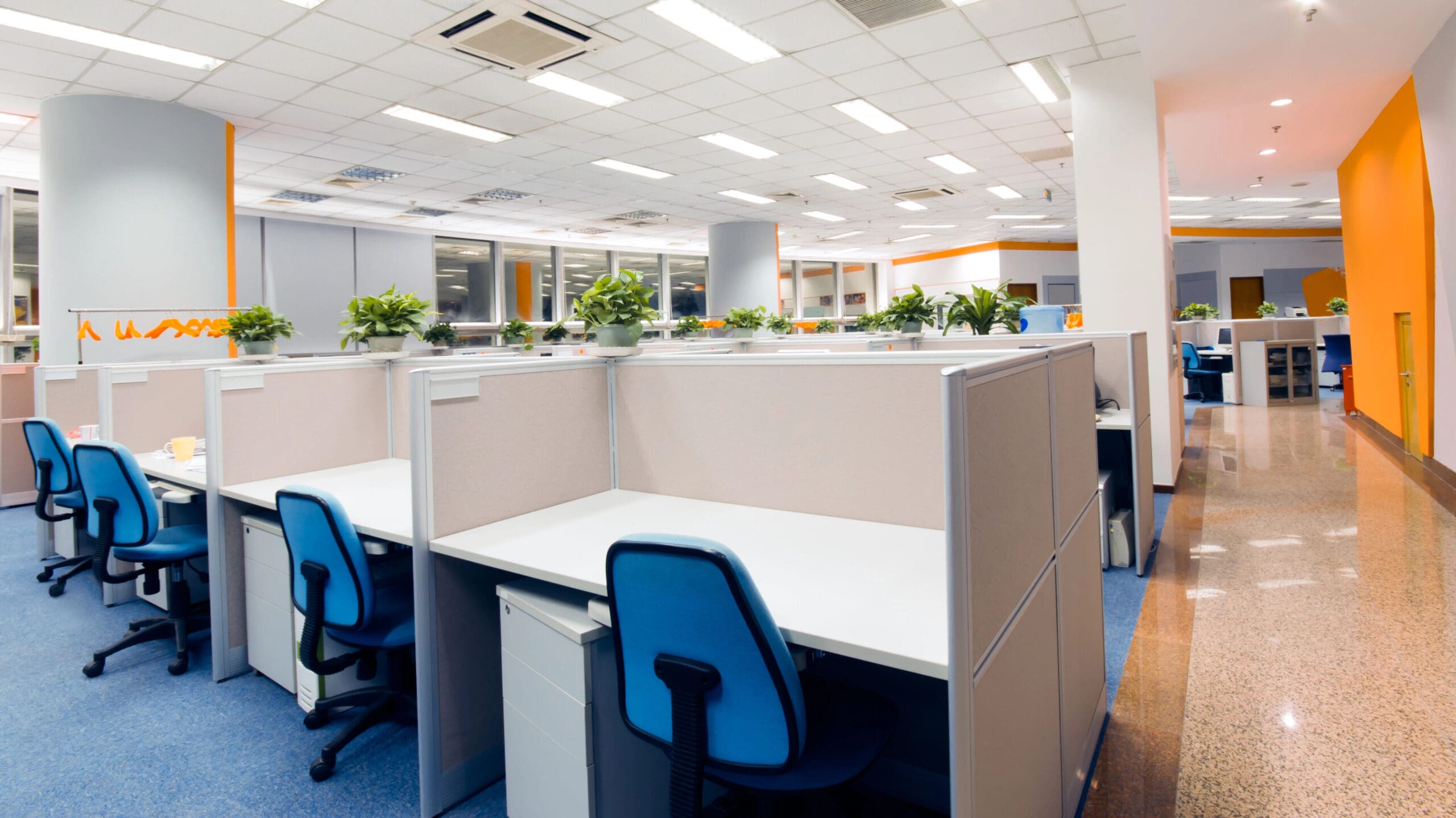 A brightly lit, modern office space with rows of cubicles. Each cubicle features a white desk, a blue office chair, and potted plants on top of the partitions. The ceiling has recessed lighting, and large windows are visible in the background.